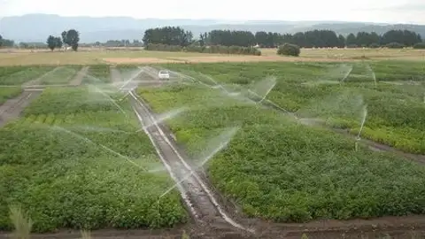 A Xunta senta as primeiras bases para a elaboración do Plan Estratéxico do sector agrario da Limia Regadio en Xinzo de limia