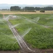 A Xunta senta as primeiras bases para a elaboración do Plan Estratéxico do sector agrario da Limia A Xunta senta as primeiras bases para a elaboración do Plan Estratéxico do sector agrario da Limia