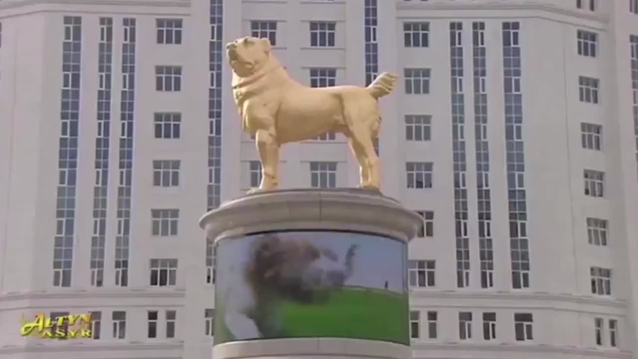 Ángel Osuna, adiestrador canino nos ofrece consejos para quienes tengan cachorritos y otros temas Ángel Osuna, adiestrador canino nos ofrece consejos para quienes tengan cachorritos y otros temas