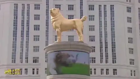 Ángel Osuna, adiestrador canino nos ofrece consejos para quienes tengan cachorritos y otros temas Can oro