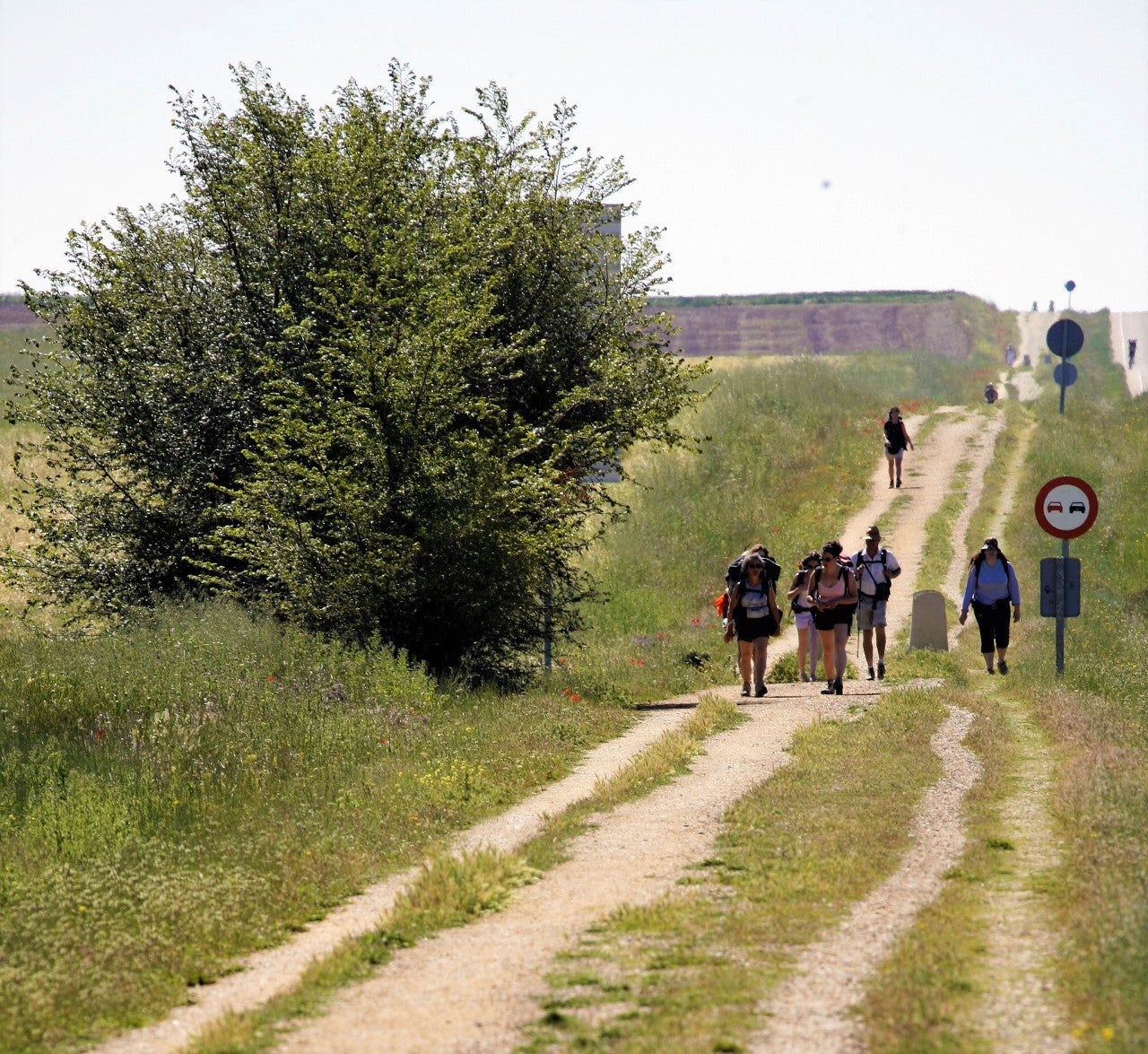 La Diputación forma en protocolos para prevenir agresiones sexistas en el Camino de Santiago La Diputación forma en protocolos para prevenir agresiones sexistas en el Camino de Santiago