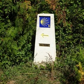 Camino de Santiago Camino de Santiago