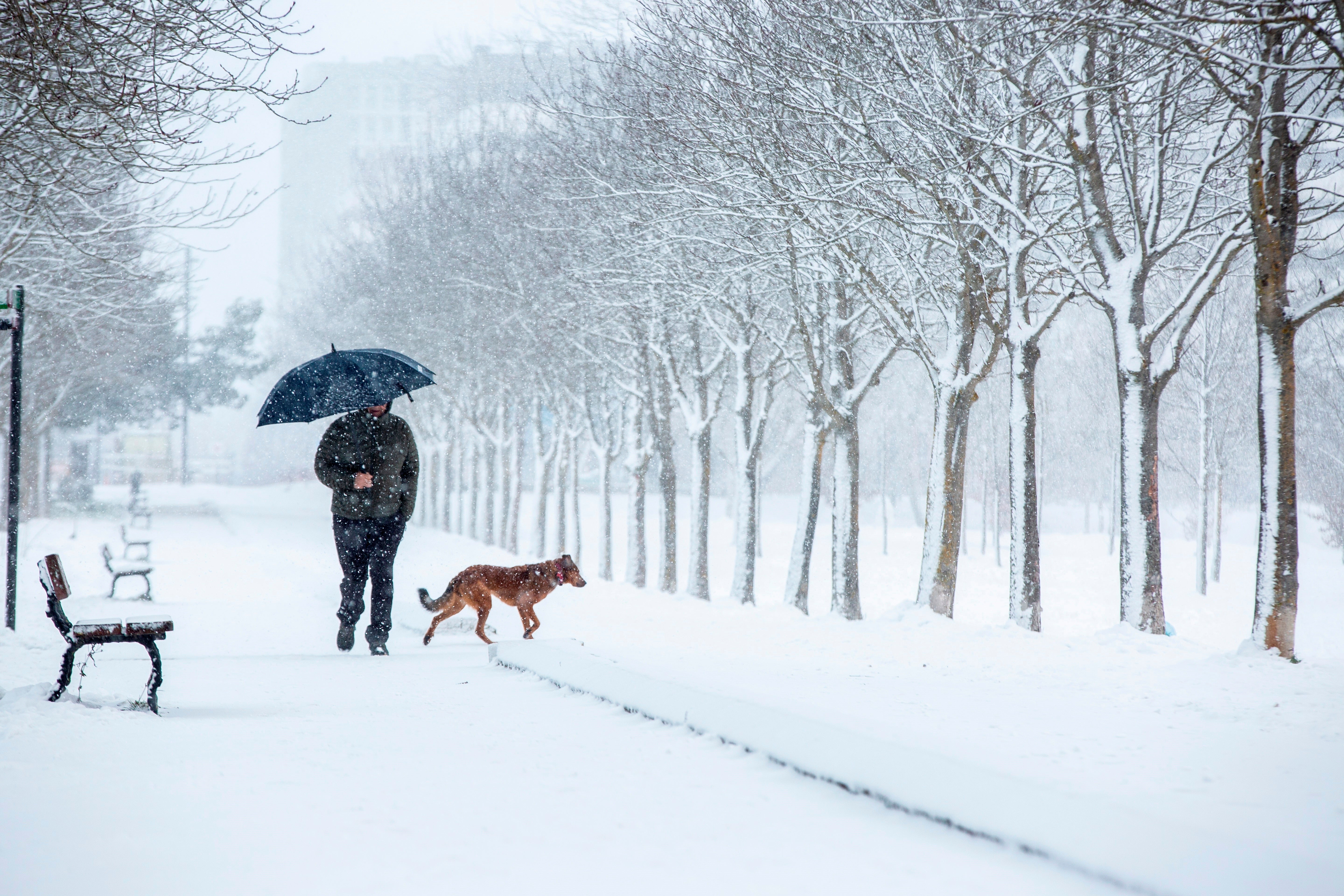 Nieve que se derrite entre cuentos y canciones Nieve que se derrite entre cuentos y canciones