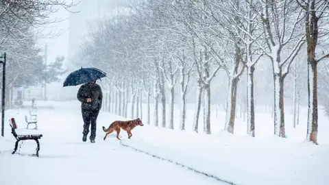 Temporal de nieve en Madrid: Carreteras, dispositivo y zonas afectadas, última hora en directo Nevada en Madrid
