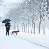  Temporal de nieve en Madrid: Carreteras, dispositivo y zonas afectadas, última hora en directo