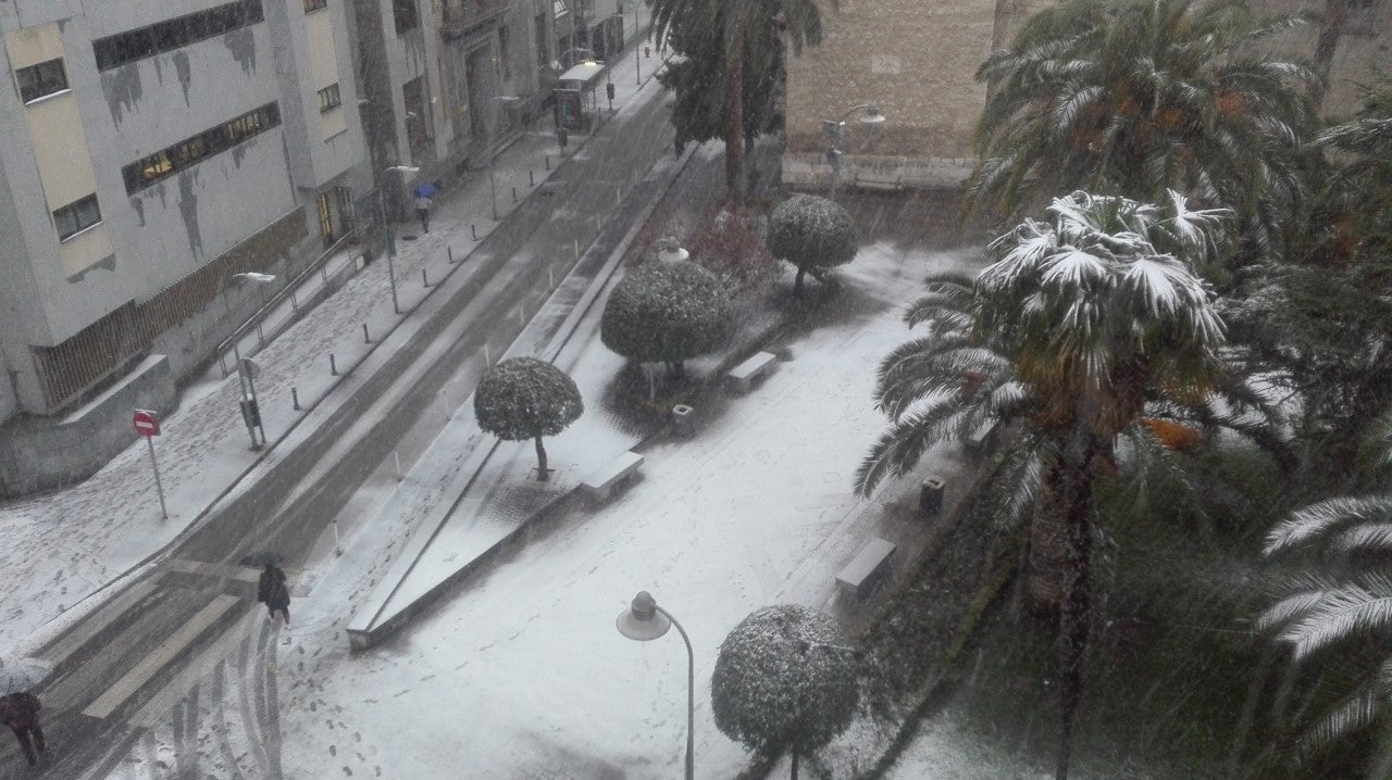 "Filomena" deja un manto de nieve en Ciudad Real y en muchas localidades de la provincia "Filomena" deja un manto de nieve en Ciudad Real y en muchas localidades de la provincia