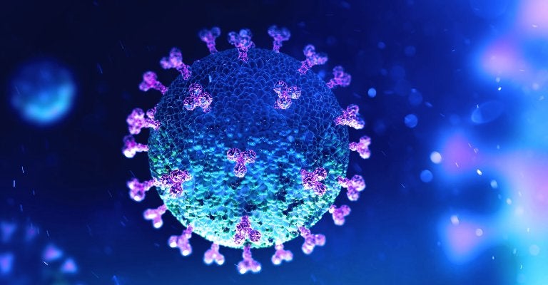 Fuerte repunte de los contagios en la comarca oriental este viernes con 12 nuevos casos de Covid-19 Fuerte repunte de los contagios en la comarca oriental este viernes con 12 nuevos casos de Covid-19