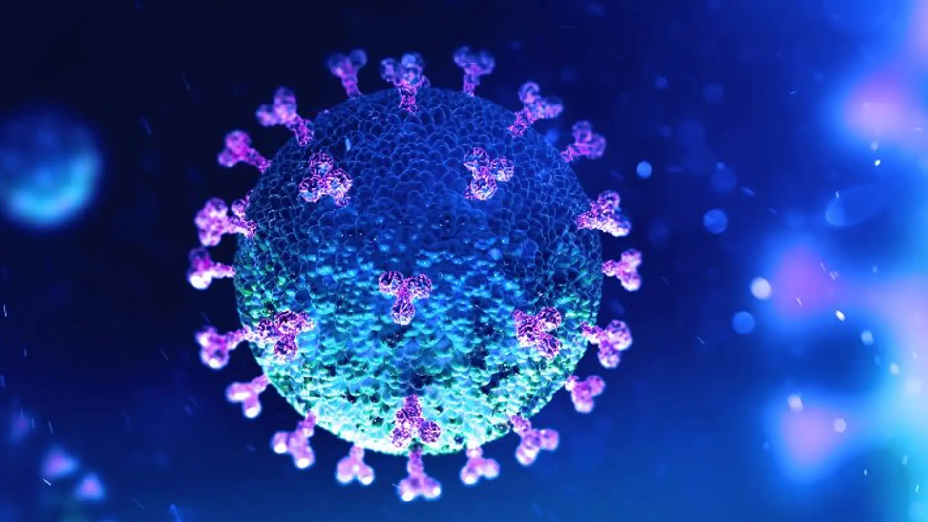 Preocupación ante las nuevas variantes del coronavirus