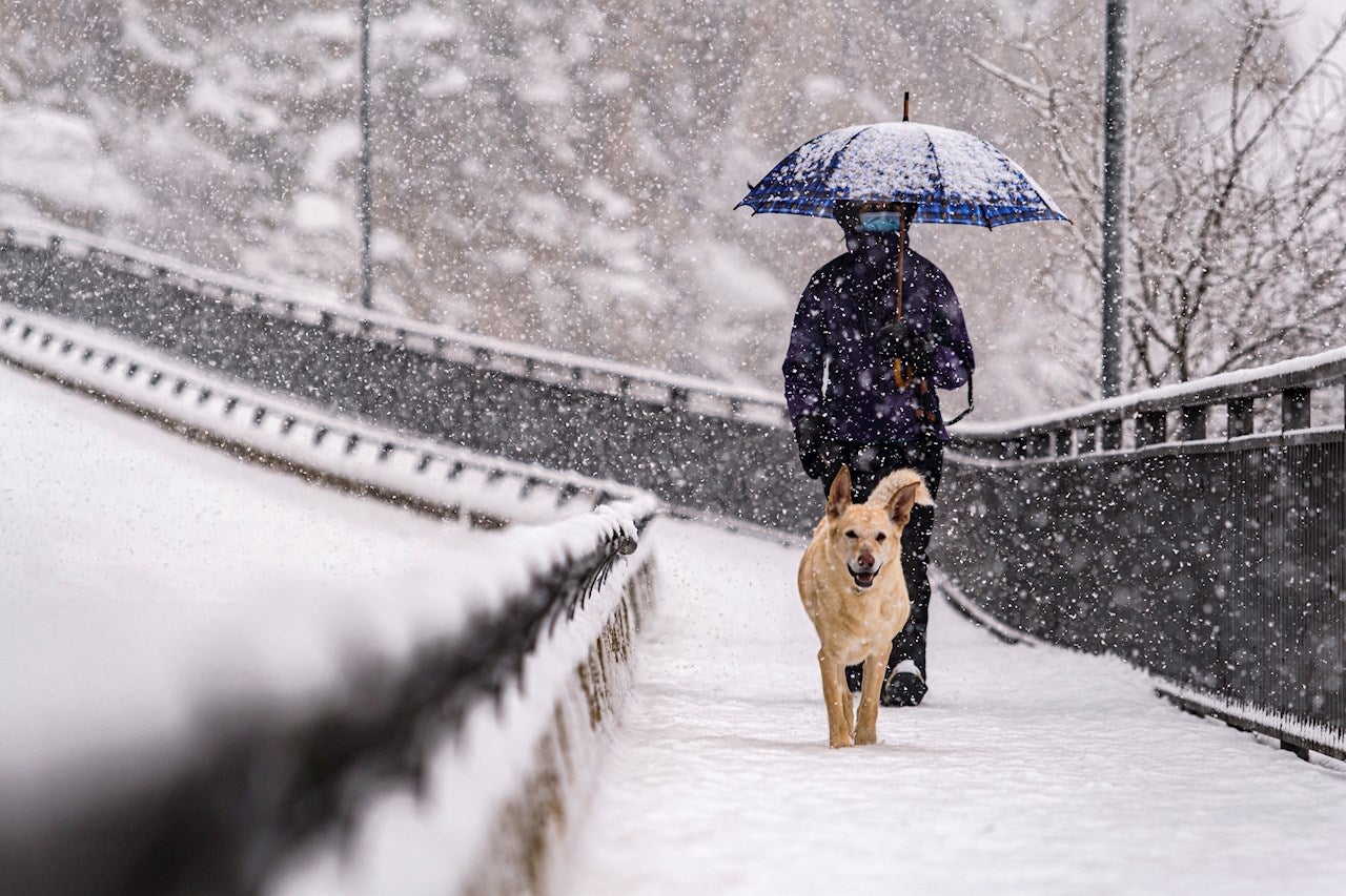 En qué provincias llegarán las primeras nevadas esta semana En qué provincias llegarán las primeras nevadas esta semana