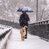 Una persona pasea con su perro por las calles nevadas de nuestro país