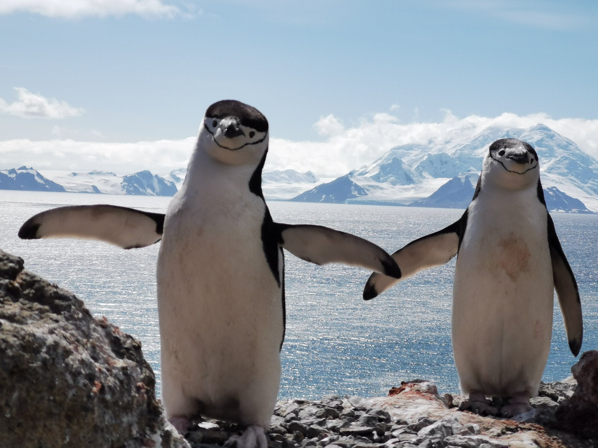 La lava de Islandia y el hielo de la Antártida, con visión riojana La lava de Islandia y el hielo de la Antártida, con visión riojana