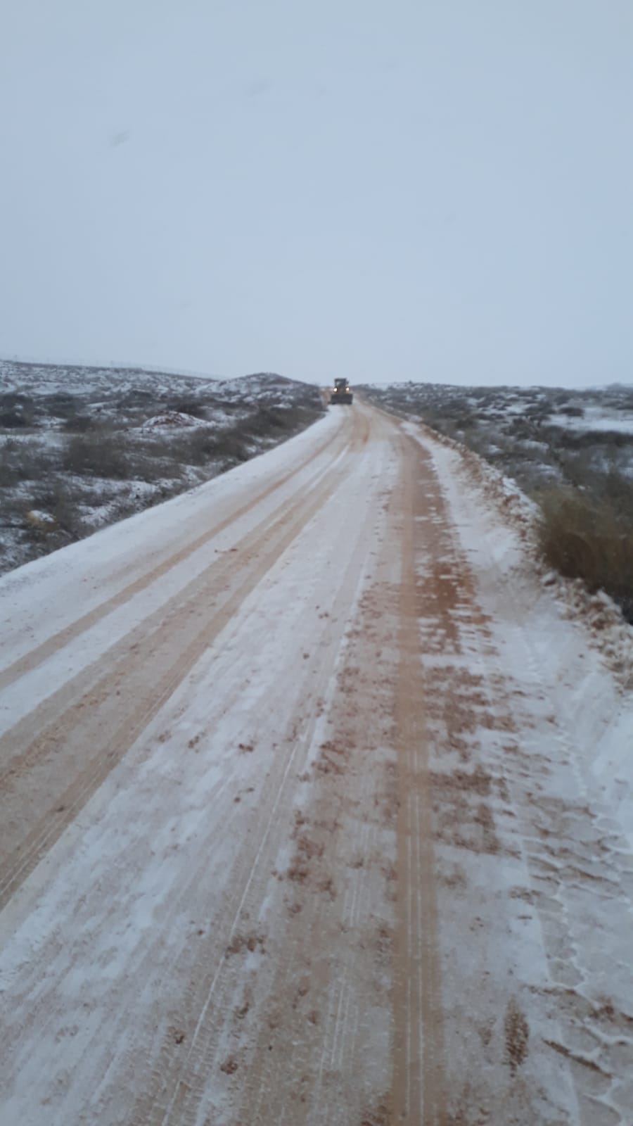 El ayuntamiento de Alcázar reparte 9.000 kilos de sal diarios durante el temporal El ayuntamiento de Alcázar reparte 9.000 kilos de sal diarios durante el temporal
