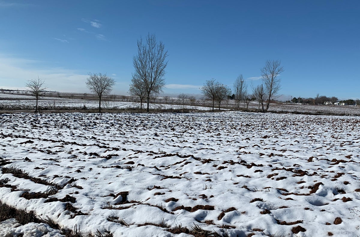 El campo de Ciudad Real se beneficia del paso de "Filomena" El campo de Ciudad Real se beneficia del paso de "Filomena"