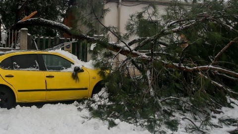 Indemnizaciones seguros temporal