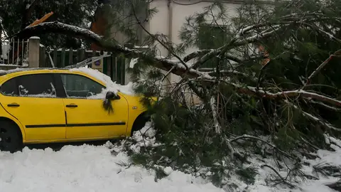 ¿Qué daños cubren los seguros ante un temporal como Filomena? Indemnizaciones seguros temporal