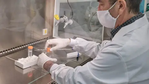 Investigadores USC desarrollan vacuna covid Investigadores USC desarrollan vacuna covid