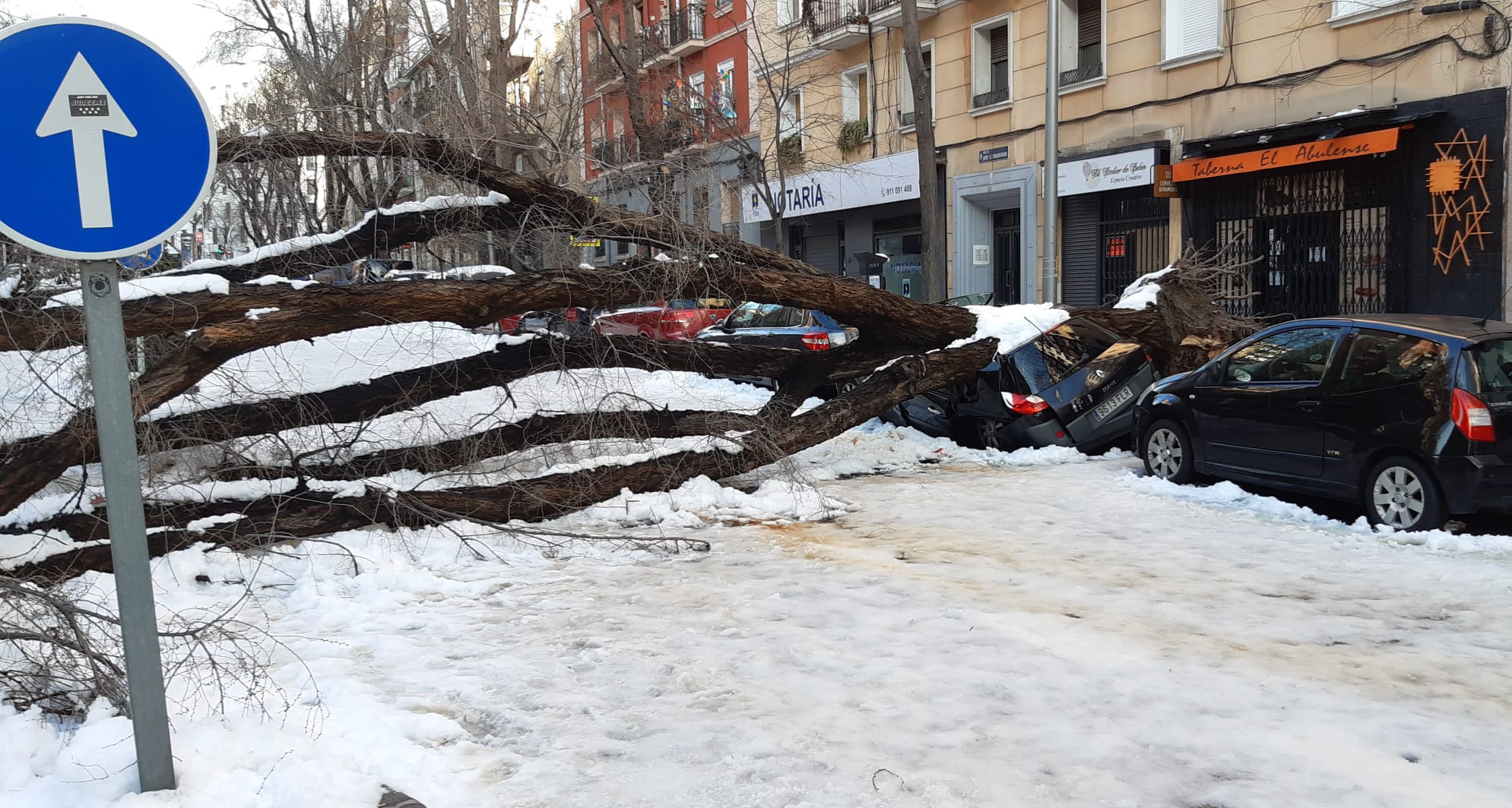Cómo prepararse ante una posible Filomena en enero: estos son los consejos para enfrentarse a la nieve Cómo prepararse ante una posible Filomena en enero: estos son los consejos para enfrentarse a la nieve