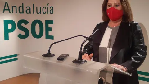 Sánchez Rubio PSOE