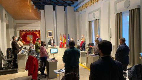 Pleno enero 