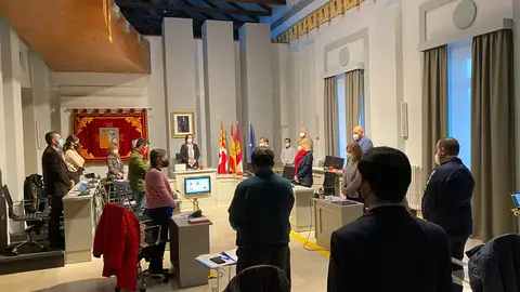 Pleno enero Pleno enero