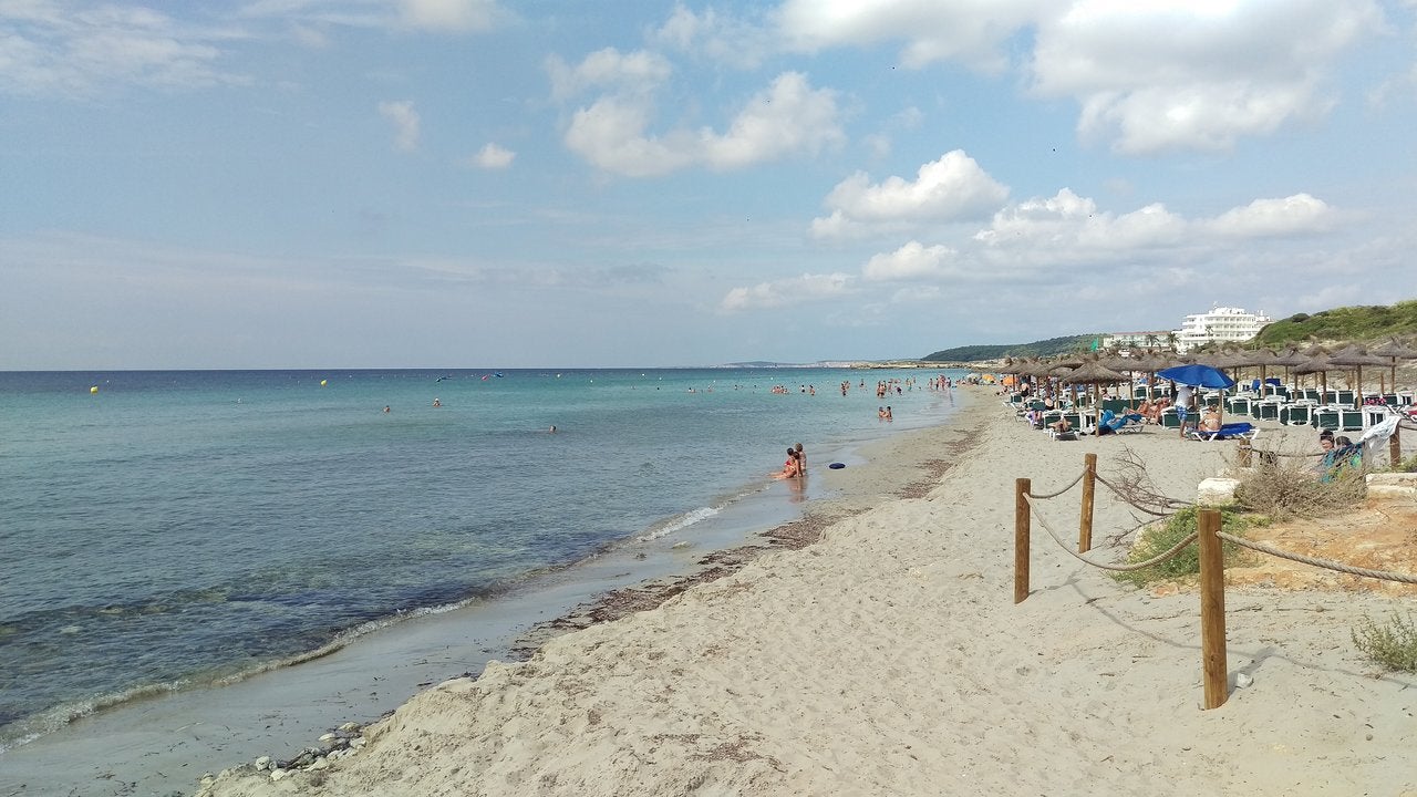 El Ayuntamiento de Es Migjorn será el primero 100% ecológico en Menorca El Ayuntamiento de Es Migjorn será el primero 100% ecológico en Menorca