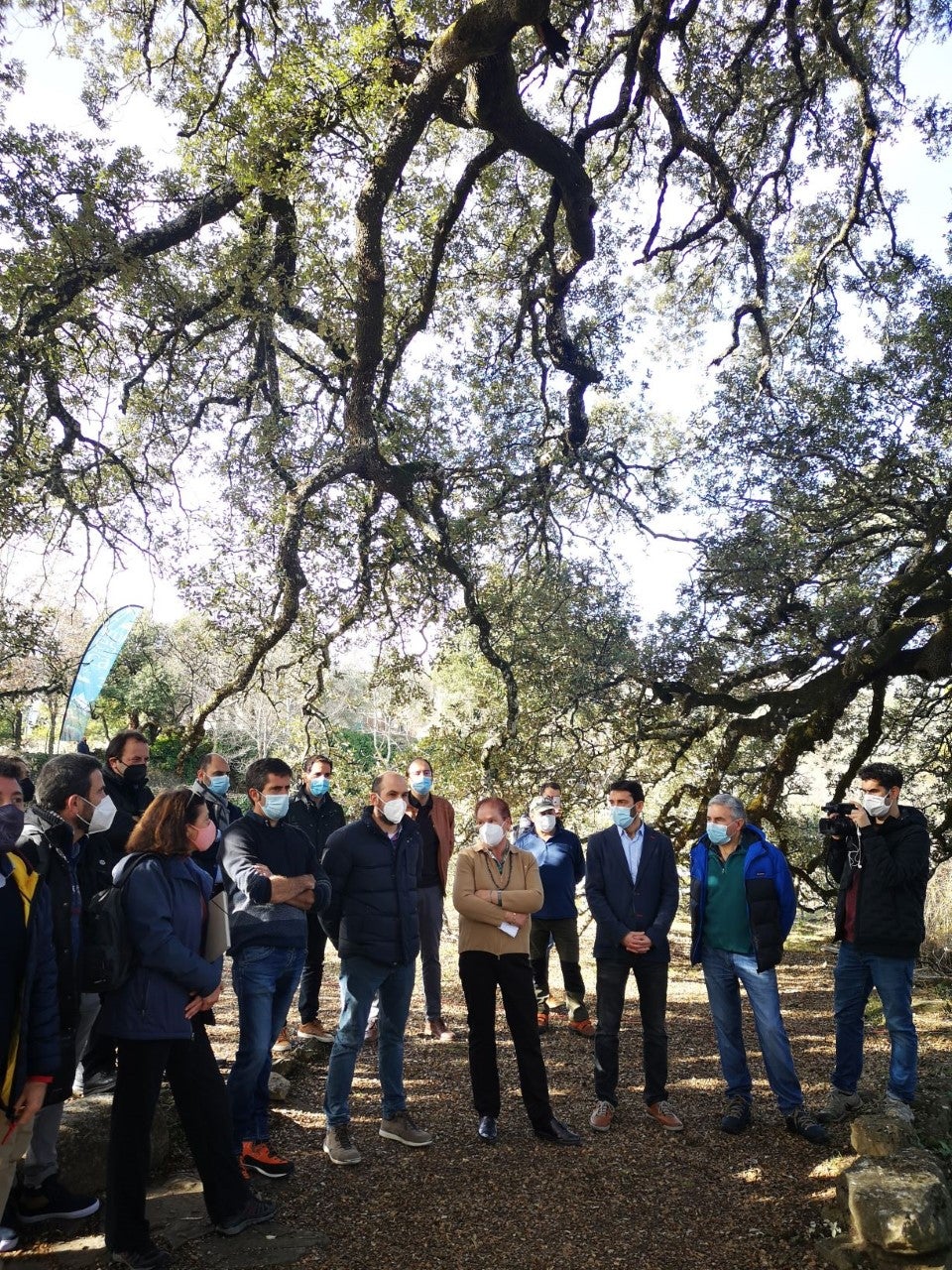 Campaña para convertir la Carrasca Milenaria de Lecina en Árbol Europeo del Año 2021 Campaña para convertir la Carrasca Milenaria de Lecina en Árbol Europeo del Año 2021