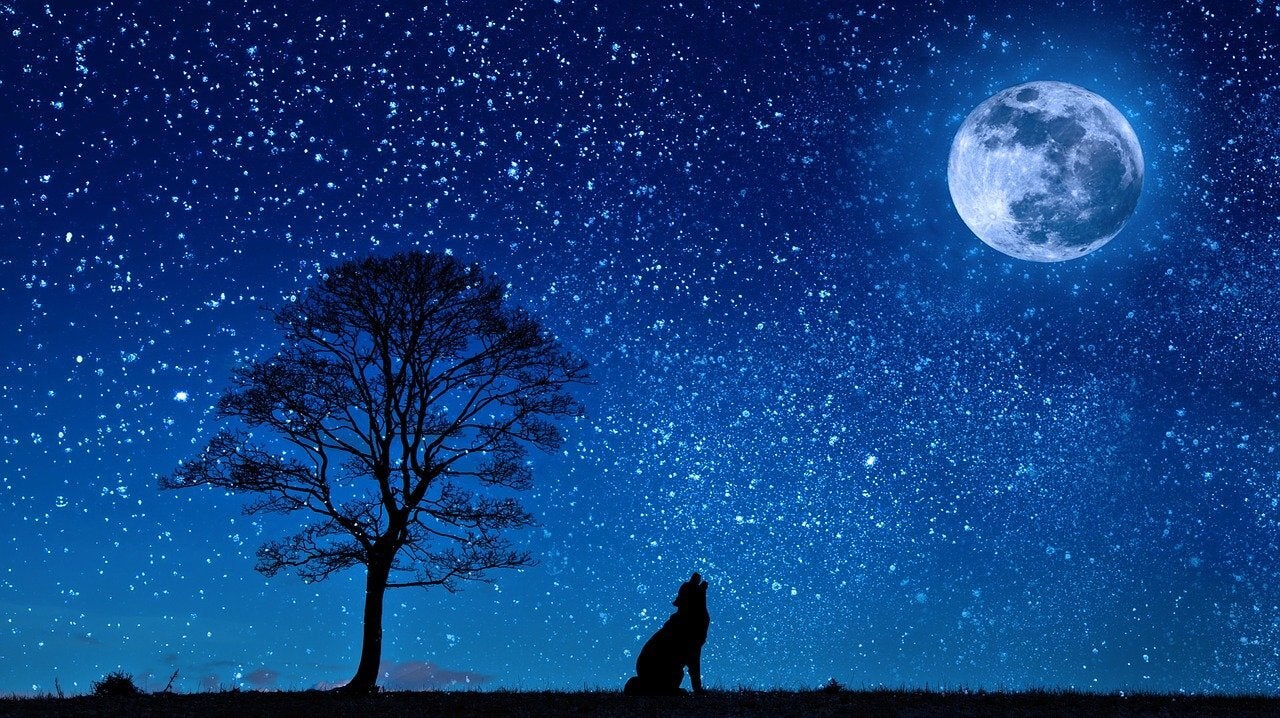 Luna llena de Lobo en España hoy: horario, qué significa cómo ver la primera luna llena de enero Luna llena de Lobo en España hoy: horario, qué significa cómo ver la primera luna llena de enero
