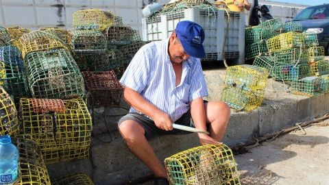 pesca