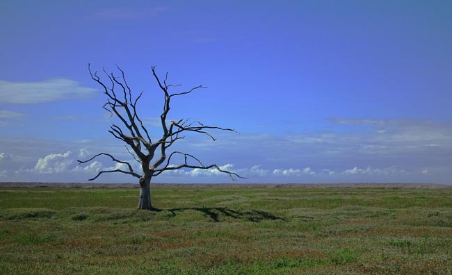 ¿Es posible que los seres humanos logren reducir las emisiones de CO2? ¿Es posible que los seres humanos logren reducir las emisiones de CO2?