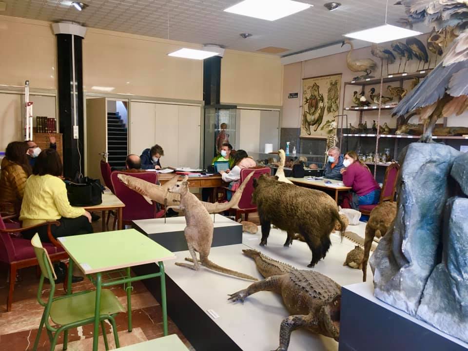 Amparo Roig, directora del IES Ramón y Cajal: "no tenemos espacio físico posible para el curso que viene" Amparo Roig, directora del IES Ramón y Cajal: "no tenemos espacio físico posible para el curso que viene"