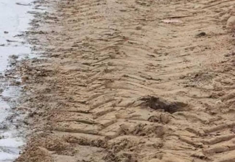 La Plataforma "Por un Mar Menor Vivo" denuncia ante la Fiscalía al Ayuntamiento de Cartagena por las labores "mecánicas" de retirada de algas de las playas del Mar Menor. La Plataforma "Por un Mar Menor Vivo" denuncia ante la Fiscalía al Ayuntamiento de Cartagena por las labores "mecánicas" de retirada de algas de las playas del Mar Menor.
