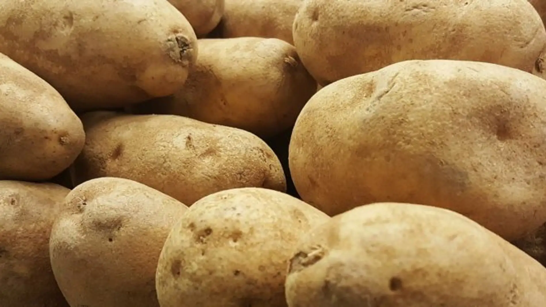 El Principado autoriza la siembra de patata en toda la región
