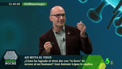 El vir&oacute;logo Jos&eacute; Antonio L&oacute;pez te explica en cinco minutos c&oacute;mo la COVID-19 dio con 'la llave' para entrar en nuestro organismo