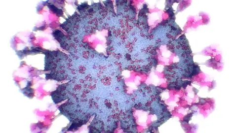 A3 Noticias Fin de Semana (31-01-21) Un año del primer caso de coronavirus en España: cronología de una pandemia A3 Noticias Fin de Semana (31-01-21) Un año del primer caso de coronavirus en España: cronología de una pandemia