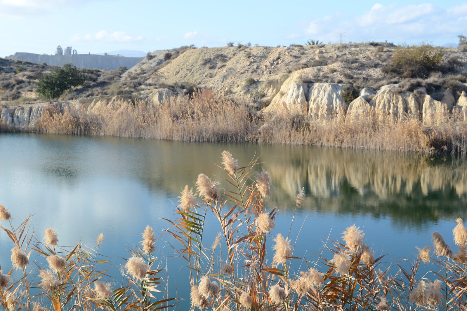 Ecologistas en Acción asegura que, sin la debida protección, peligra la supervivencia de los humedales de Alicante Ecologistas en Acción asegura que, sin la debida protección, peligra la supervivencia de los humedales de Alicante