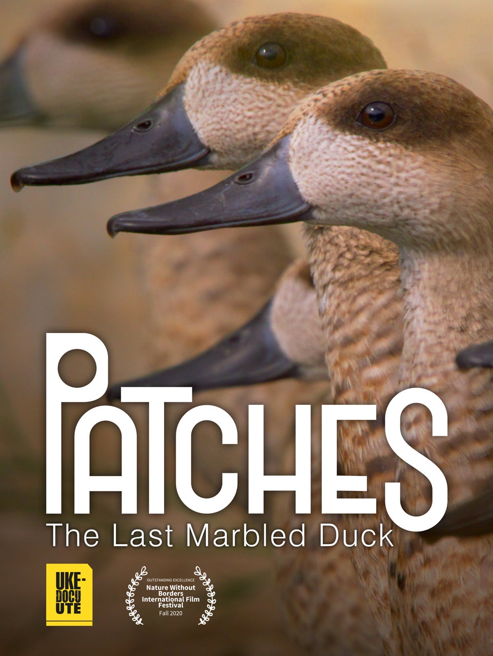 Patches, el documental valenciano premiado internacionalmente que pasa desapercibido en España Patches, el documental valenciano premiado internacionalmente que pasa desapercibido en España