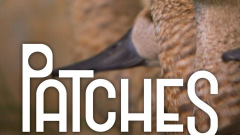 Patches