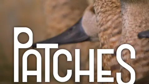 Patches Patches