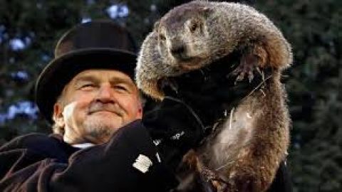  &iquest;Qu&eacute; es el D&iacute;a de la Marmota? Historia, la predicci&oacute;n de Phil y el origen de la expresi&oacute;n