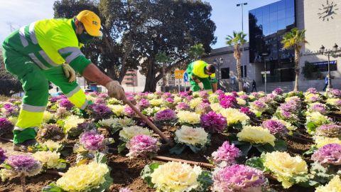 Replantan los jardines de la Avenida de Salamanca 