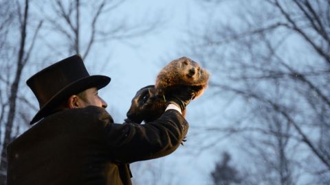 El d&iacute;a de la Marmota: imagen de la marmota Phil