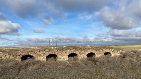 Comunicado de EQUO en el Día Mundial de los Humedales Comunicado de EQUO en el Día Mundial de los Humedales