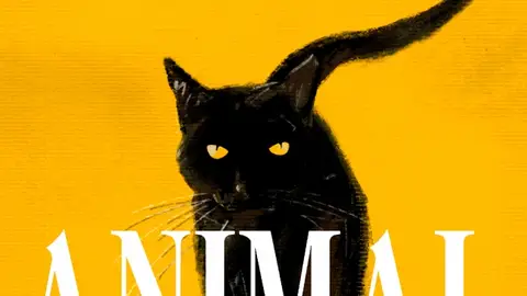 Portada del libro Animal, de Leticia Sierra Portada del libro Animal, de Leticia Sierra