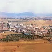 Alamillo Alamillo