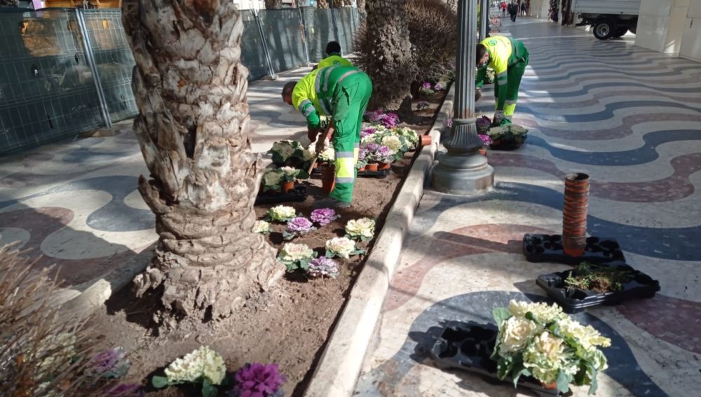 Renovación en los jardines de la Explanada