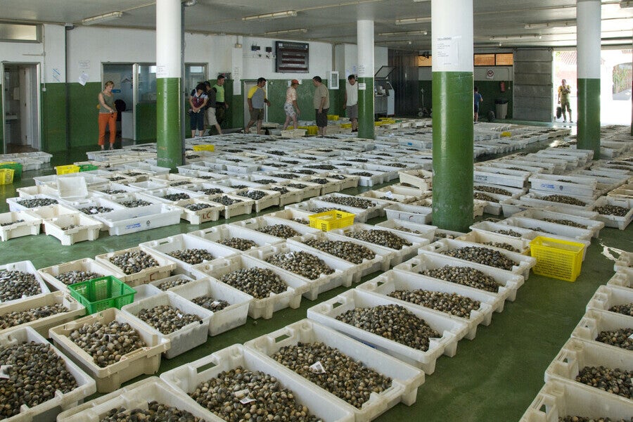 Os portos das Rías Baixas pagan o peche da hostalería Os portos das Rías Baixas pagan o peche da hostalería