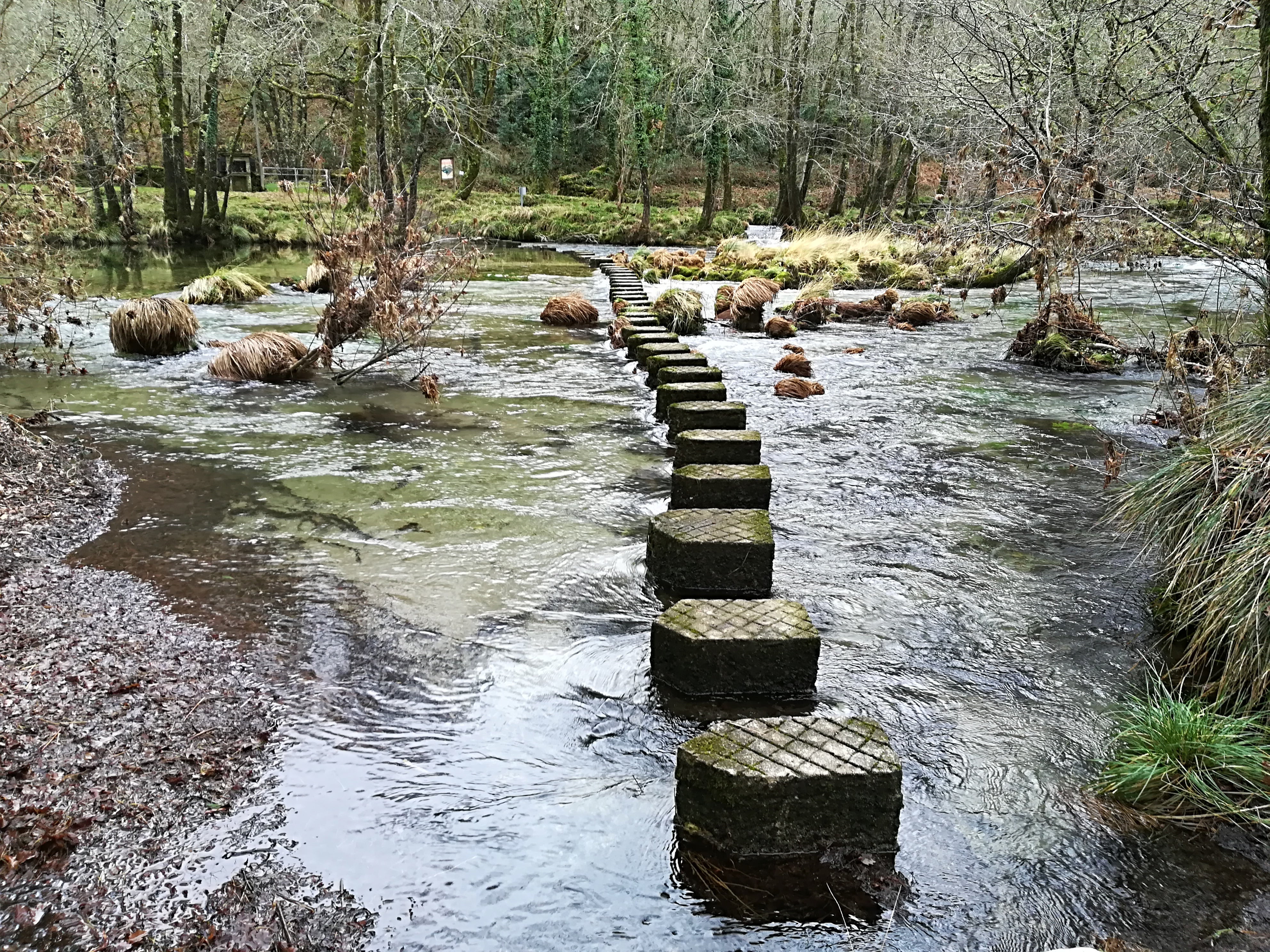 As intensas choivas deixan 7 ríos desbordados As intensas choivas deixan 7 ríos desbordados