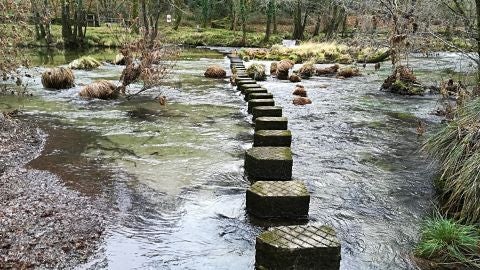 As intensas choivas deixan 7 r&iacute;os desbordados 