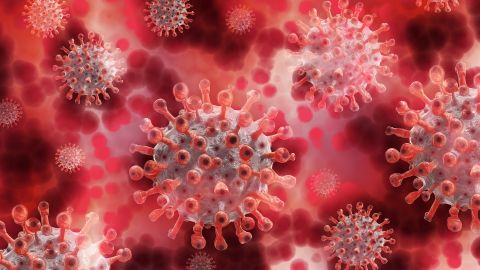 OMS advierte del riesgo de rebrote por coronavirus