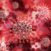 OMS advierte del riesgo de rebrote por coronavirus